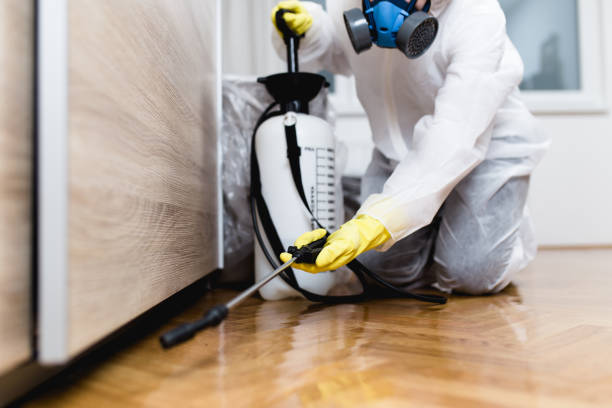 Best Pest Control Near Me  in Auburn, CA
