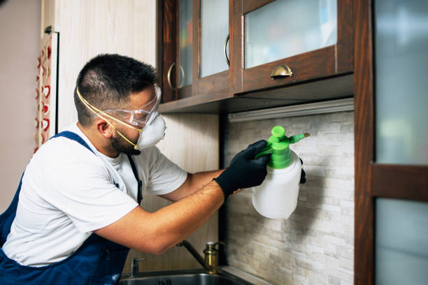 Best Pest Control for Businesses  in Auburn, CA