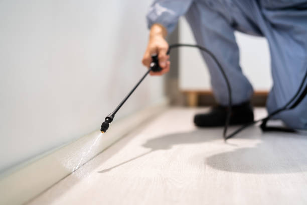 Auburn, CA Pest Control Company