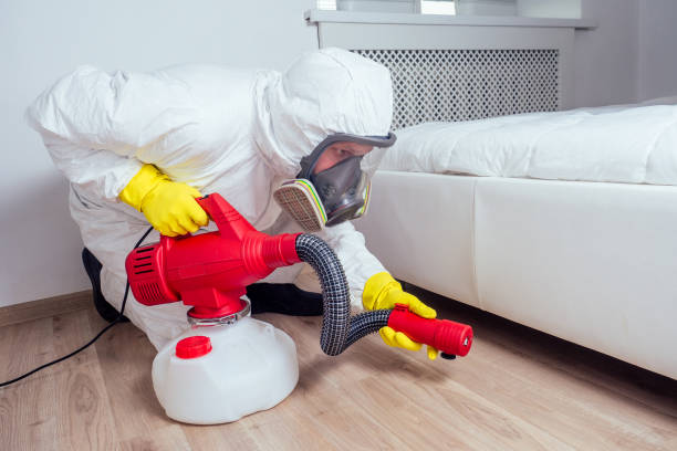 Best Bed Bug Extermination  in Auburn, CA