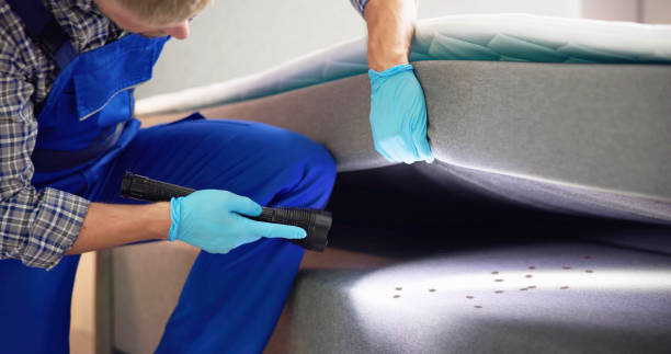 Best Commercial Pest Control Services  in Auburn, CA