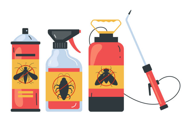 Best Affordable Pest Control Services  in Auburn, CA